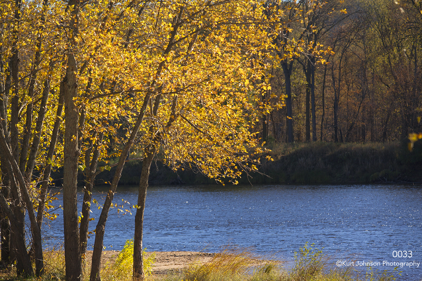 waterscape landscape river trees yellow blue forest shore