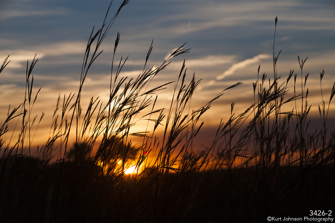 grasses landscape sunset gold orange blue