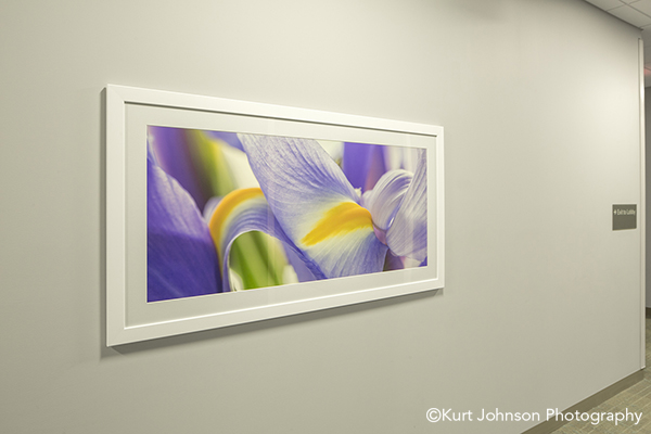 Lauritzen Outpatient Center Health Care Clinic Install framed flower healthcare design art installation