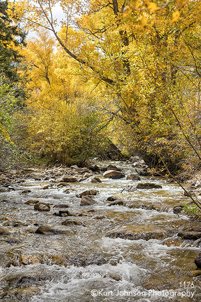 yellow trees autumn waterscape waterscapes water rocks river