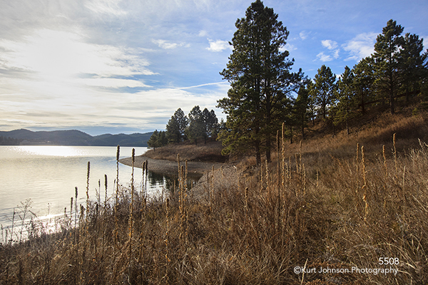Black Hills South Dakota grasses green trees forest waterscape landscape Dakotas blue sky clouds