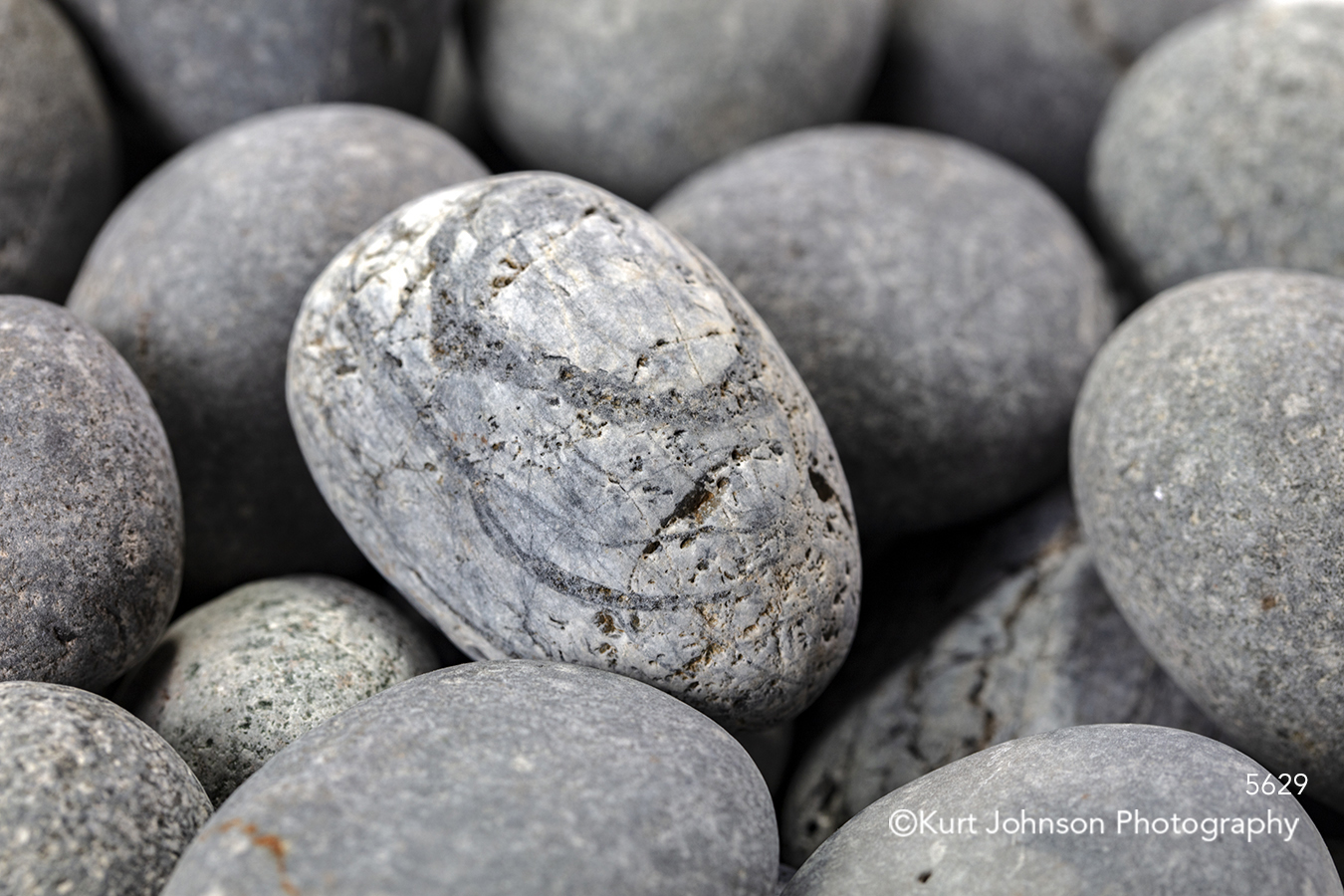 gray round circles rocks stone detail texture pattern