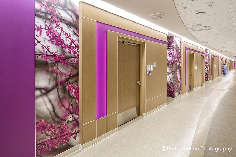 raspberry violet installation wallcovering flowering tree super graphic mother baby mn 