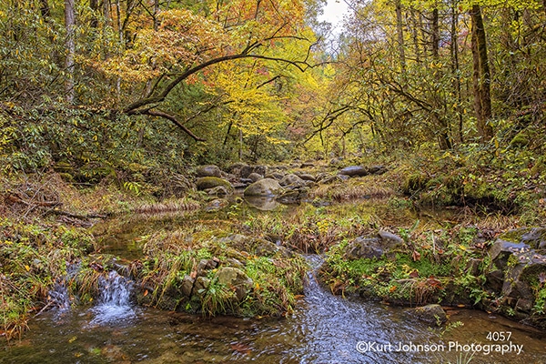 yellow green autumn fall trees water waterscape