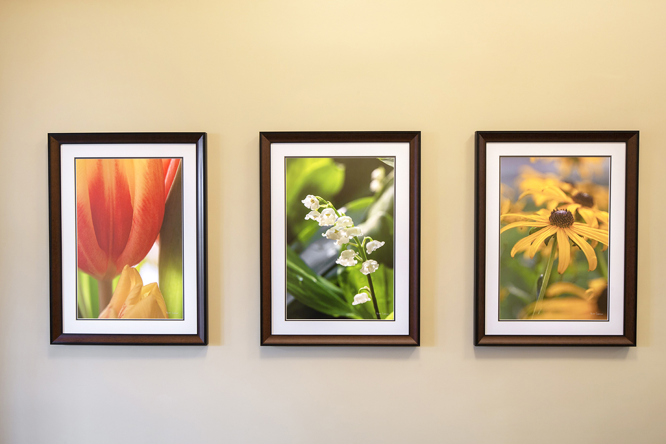 Pender hospital healthcare installation wood framed art flower botanical photography