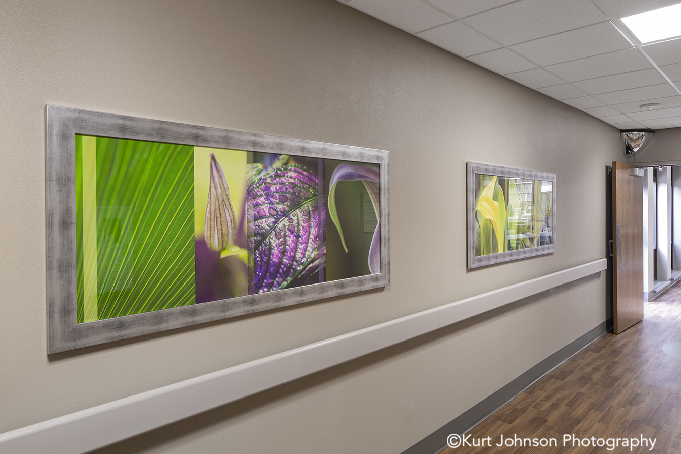 Lauritzen Outpatient Center Health Care Clinic Install framed flower healthcare design art installation