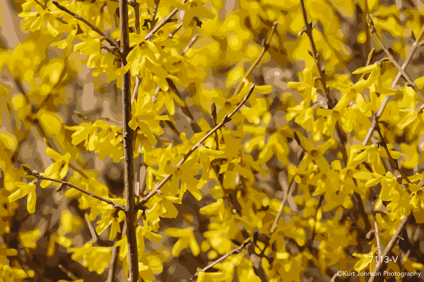 yellow leaves branch branches fall autumn vector