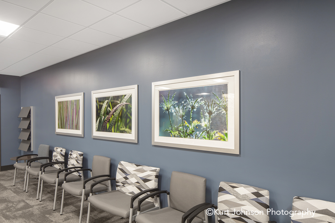 Methodist Jennie Edmundson Hospital Council Bluffs Iowa Framed Art Flower Botanical Healthcare Installation