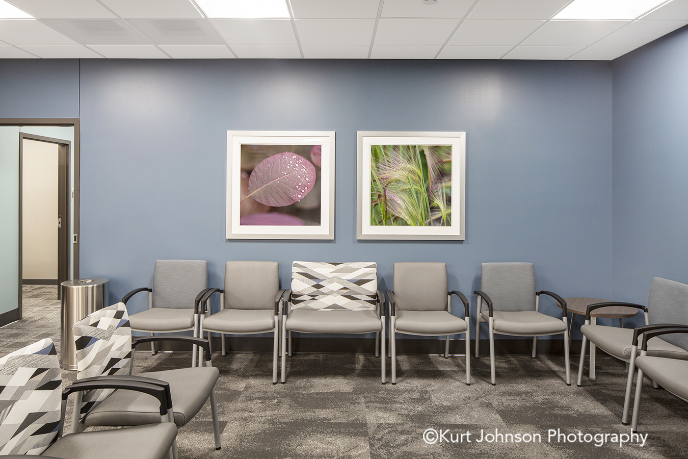 Methodist Jennie Edmundson Hospital Council Bluffs Iowa Framed Art Grasses Grass Leaves Botanical Healthcare Installation