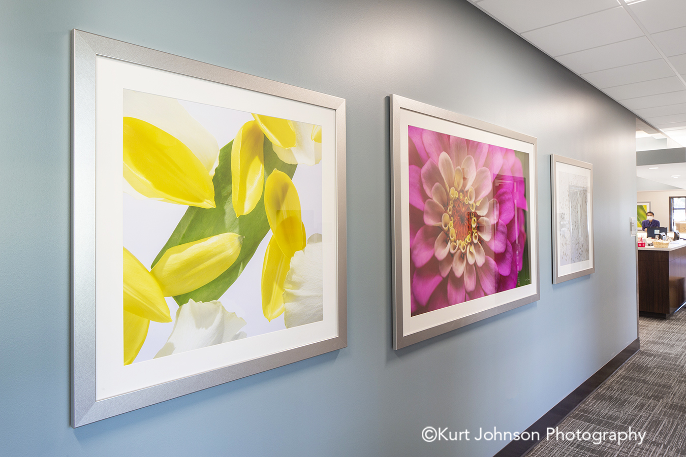 Methodist Jennie Edmundson Hospital Council Bluffs Iowa Framed Art Flower Flowers Botanicals Healthcare Installation