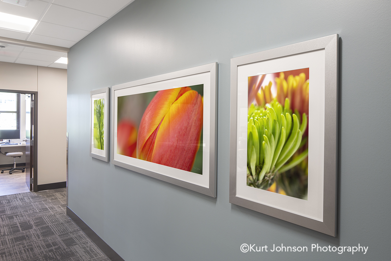 Methodist Jennie Edmundson Hospital Council Bluffs Iowa Framed Art Flower Flowers Botanicals Healthcare Installation