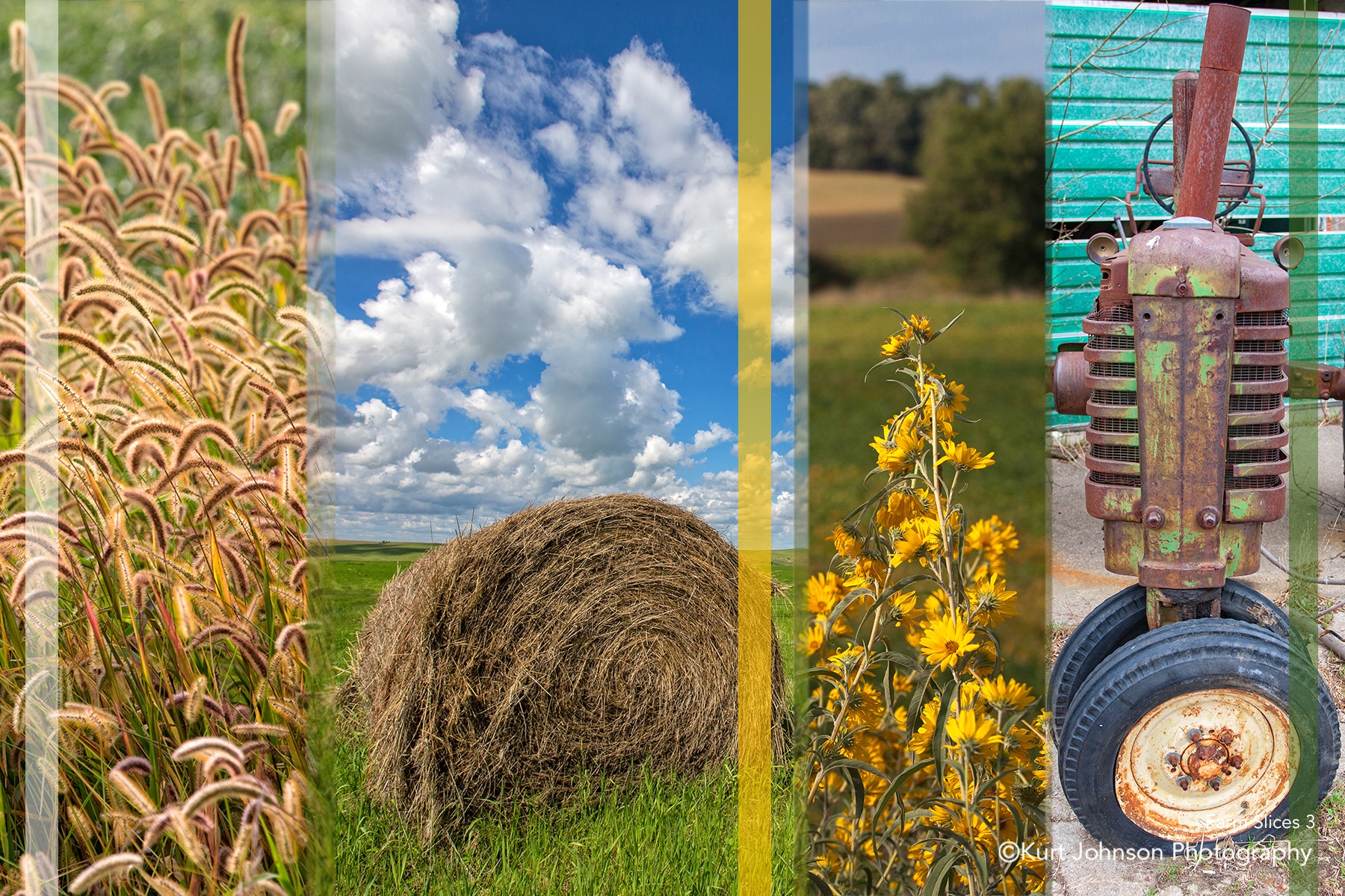 farm color slice slices midwest farm tractor country wheat field grass grasses 