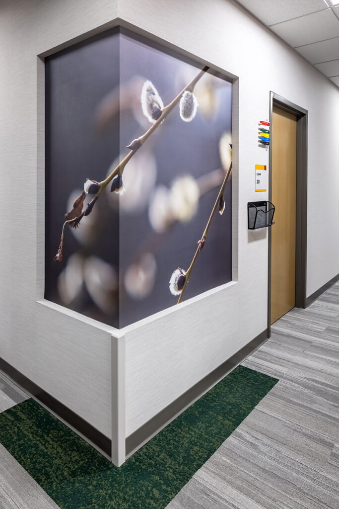 Fairview health services river falls WI Wisconsin BDH Koroseal large scale wallcovering graphic mural tree branch branches pussy willow close up hall hallway corridor