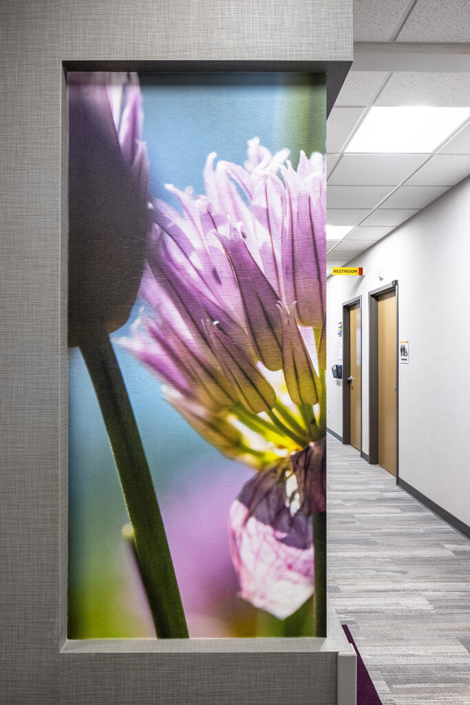 Fairview health services river falls WI Wisconsin BDH Koroseal large scale wallcovering graphic mural purple flower close up hall hallway corridor