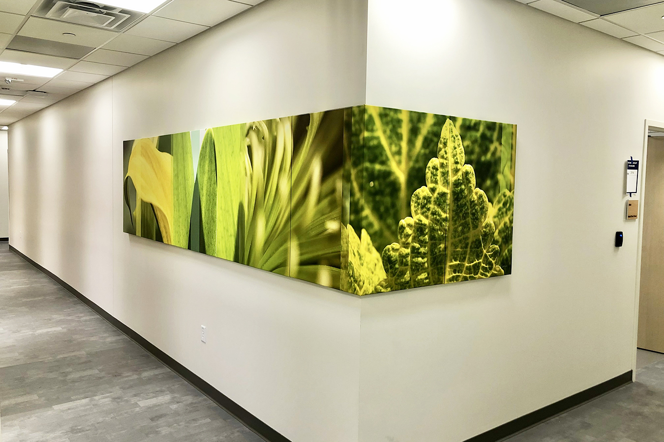 green color slice wayfinding botanicals grasses corner gallery wrapped canvas stretched prints custom environmental graphic