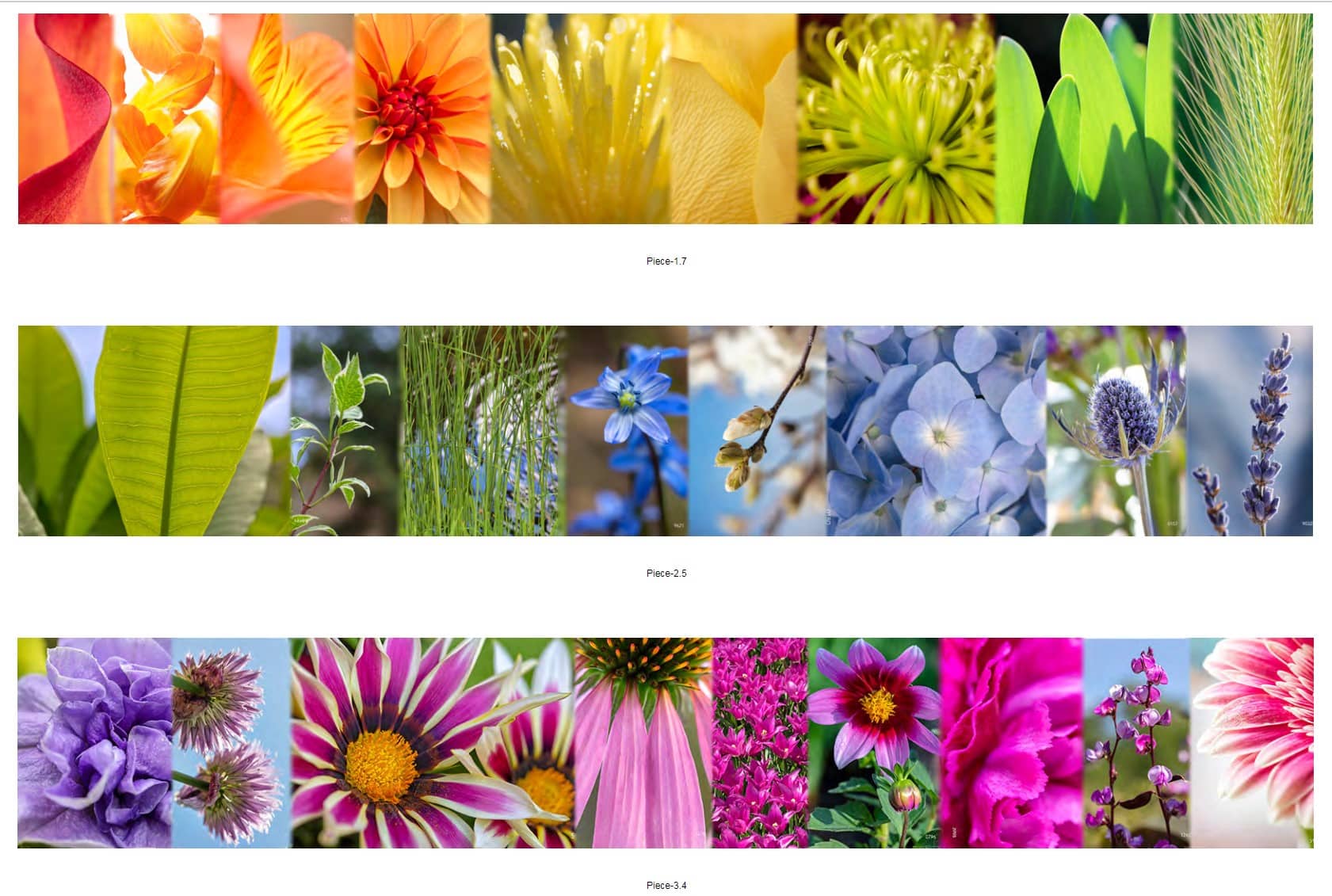 colorful color slice nature photographs by Kurt Johnson Photography custom environmental graphics for healthcare 