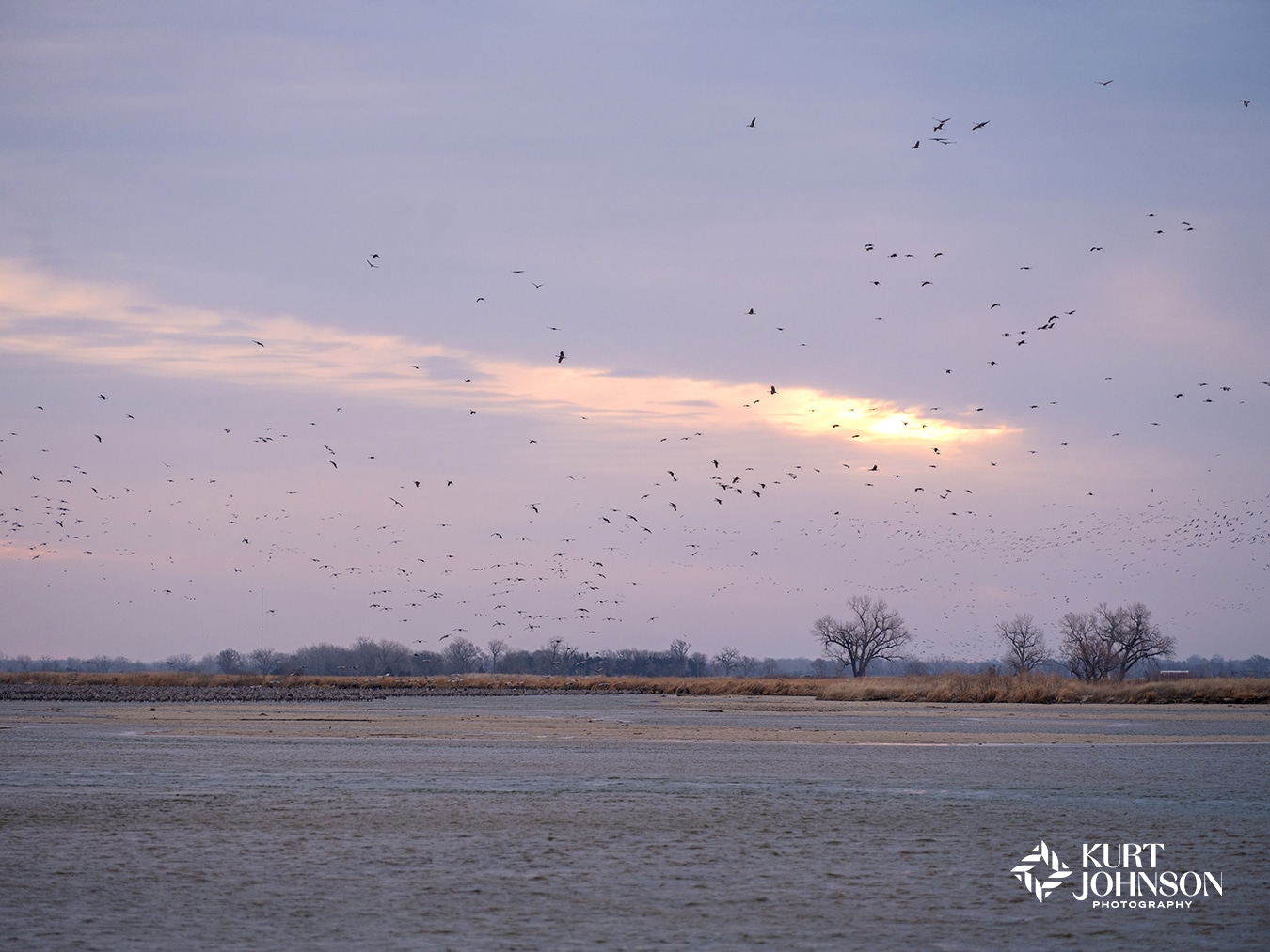 Hundreds of sandhill cranes take flight above the Platte River during their annual spring migration.