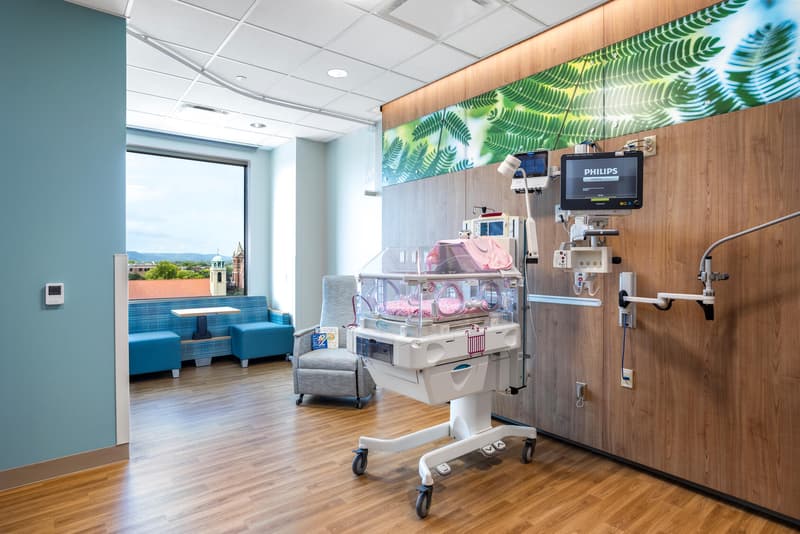 Healing nature image of green fern leaves displaying fractal patterns create a soothing atmosphere in this family birth center.