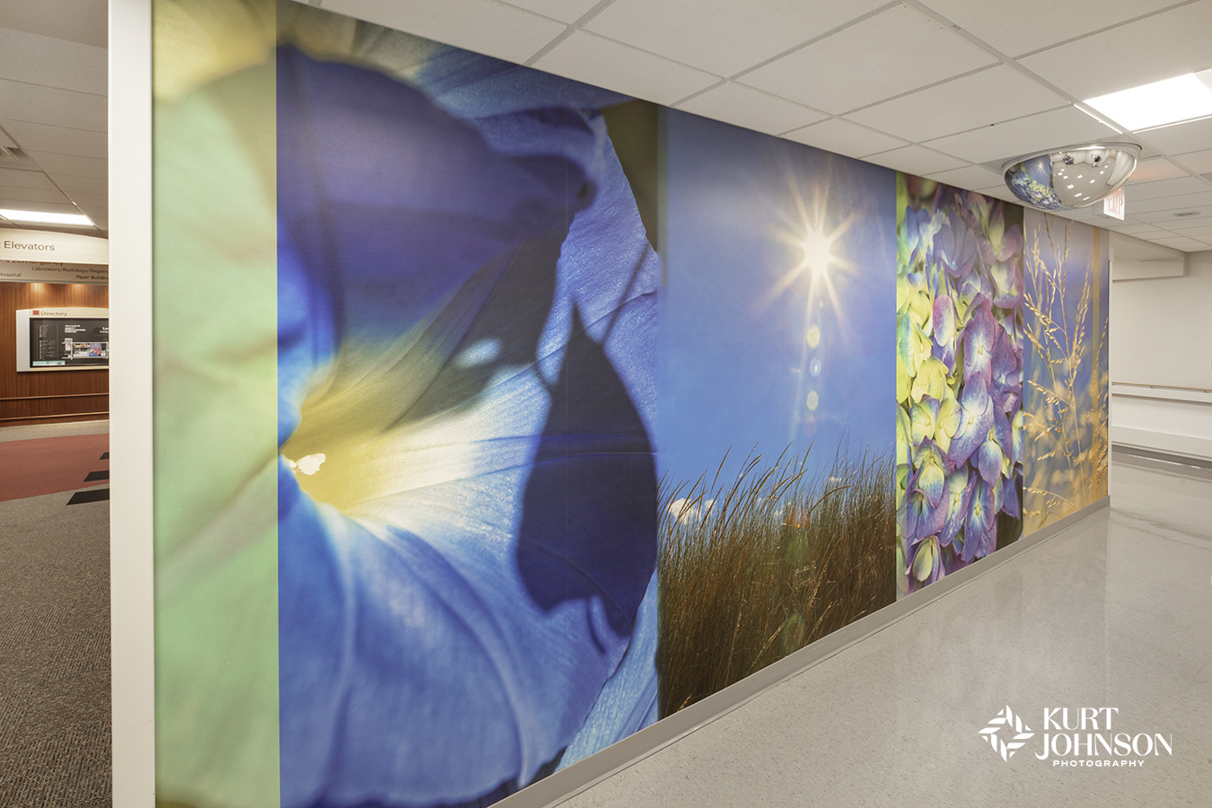 A large environmental graphic composed of multiple nature photographs greets patients at this hospital in Minnesota.