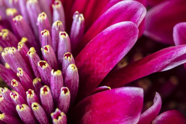 0028
