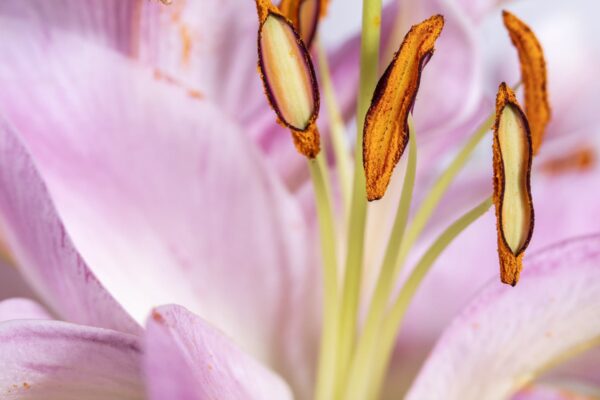 0041