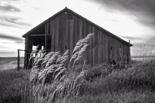0045-BW