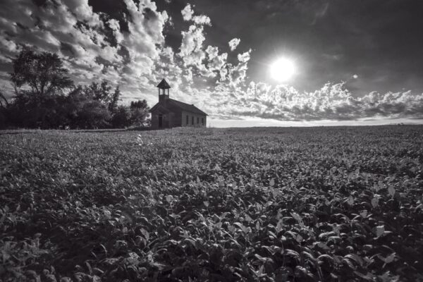 0080-BW