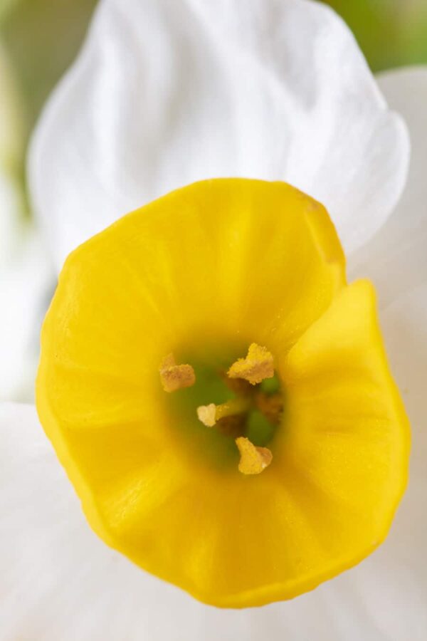0196