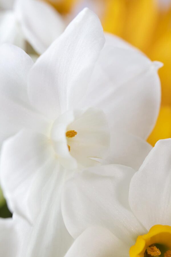 0208