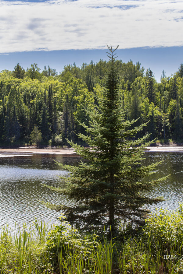 0284