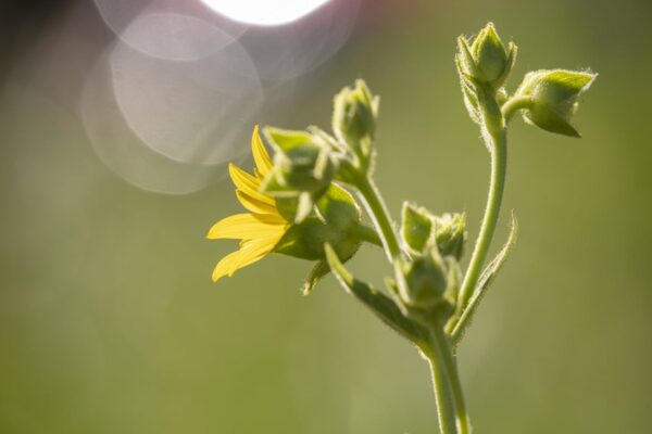 0323