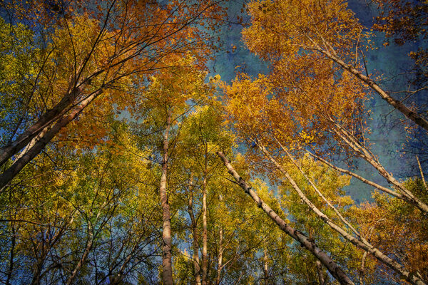 0498-Filter