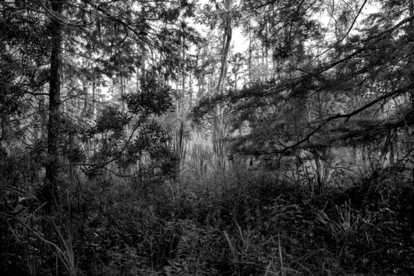 0641-BW