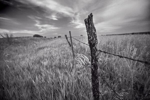 0892-BW