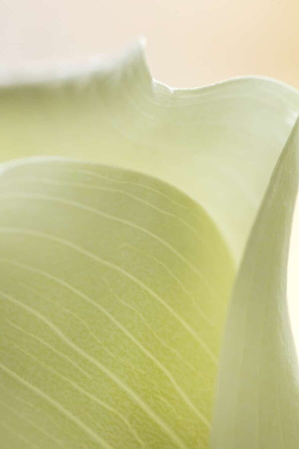 0962