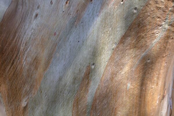 1125-2
