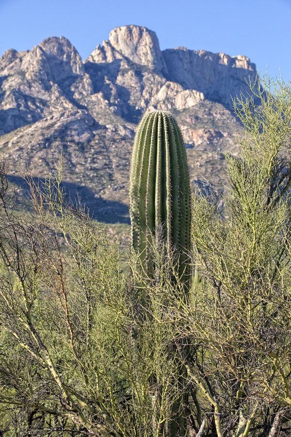 1602
