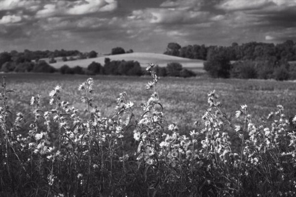 1834-BW