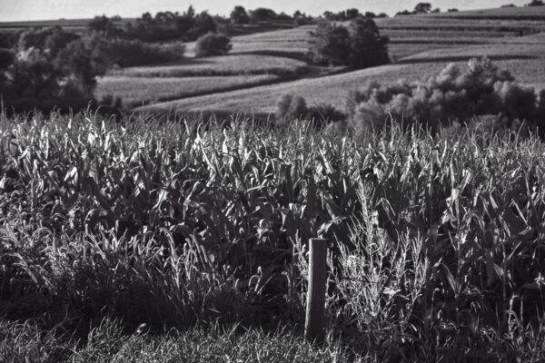2283-BW