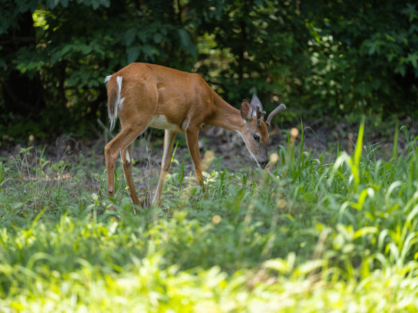 2756-2