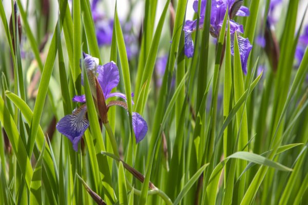 2881