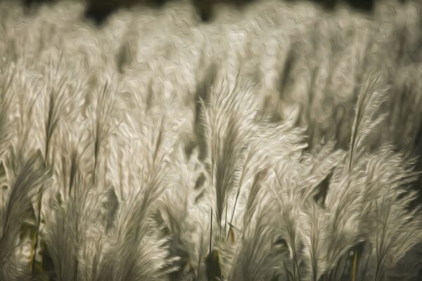 2980-Filter