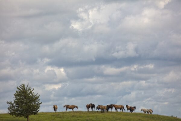 3214