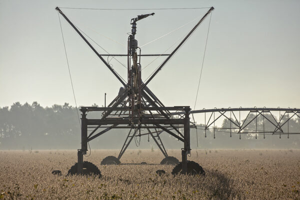 3250-3