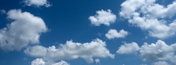 3394