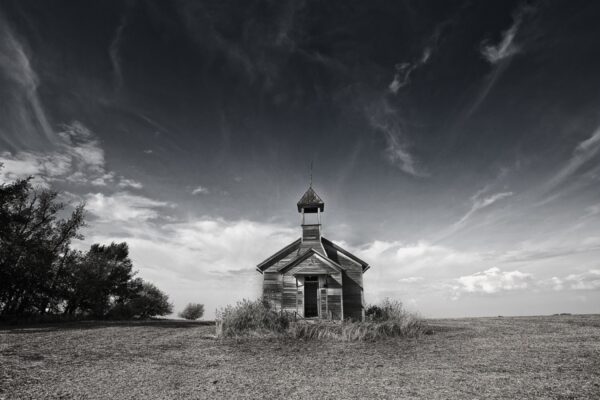 3509-BW-Filter