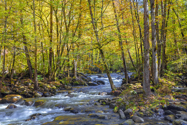 3793