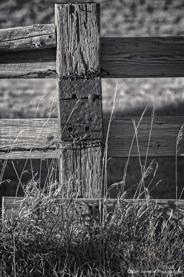 3944-BW