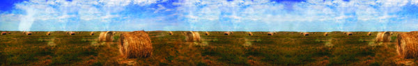 4366 Pan
