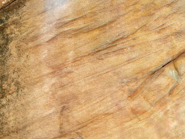 4493